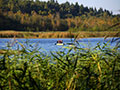 the lake Granzower Möschen