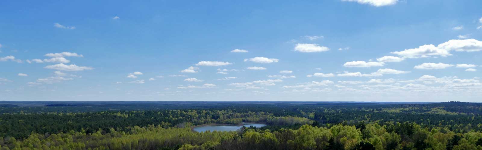 Blick vom Käflingsberg Turm über die Mecklenburgische Seenplatte