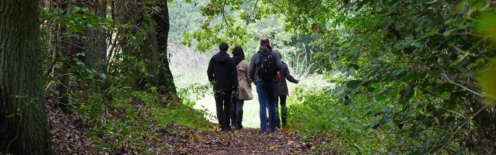 Wandern im Wald von Granzow nach Mirow bei jedem Wetter